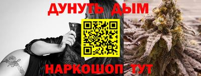 индика Балашиха