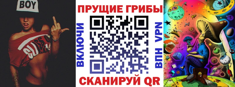 кракен зеркало Коломна Галлюциногенные грибы прущие грибы