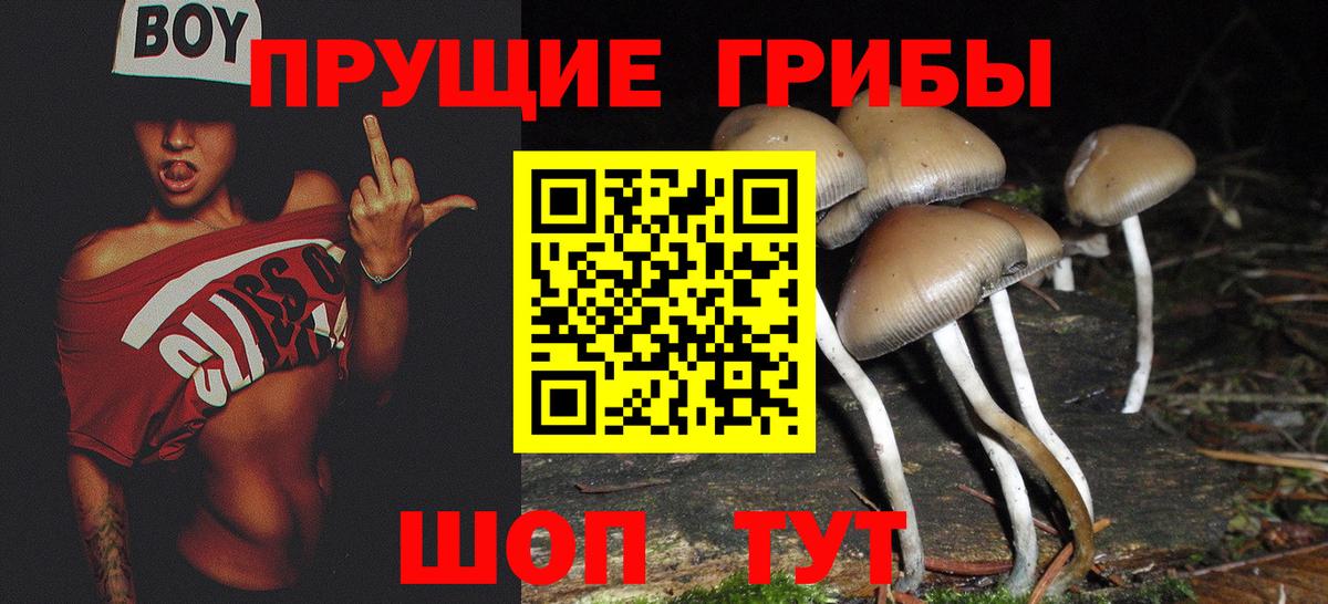 Коломна  Галлюциногенные грибы Psilocybine cubensis  цена наркотик  Вход с VPN 