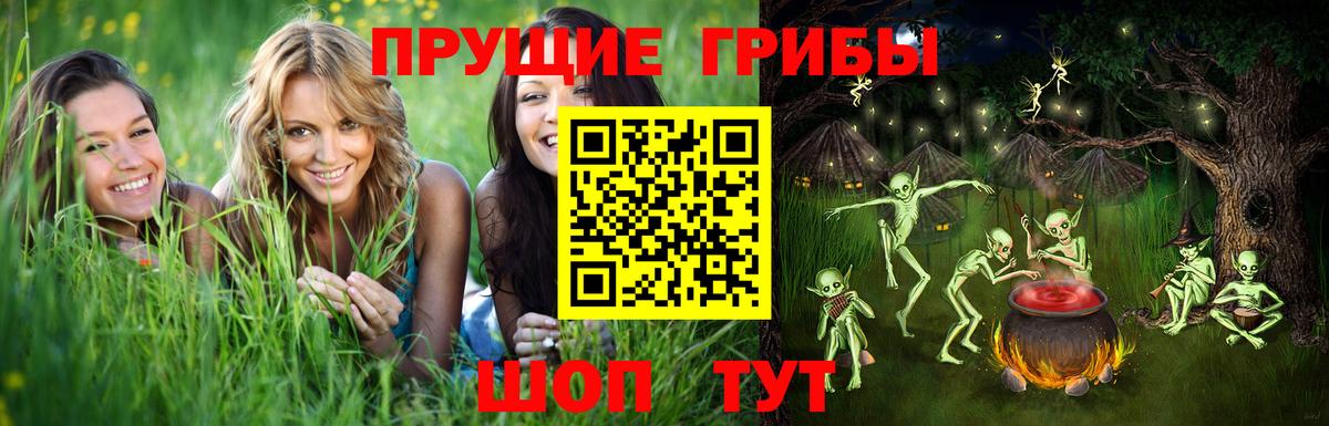 купить  цена  Коломна  Галлюциногенные грибы Psilocybe 
