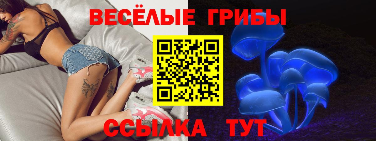 Псилоцибиновые грибы мицелий Коломна